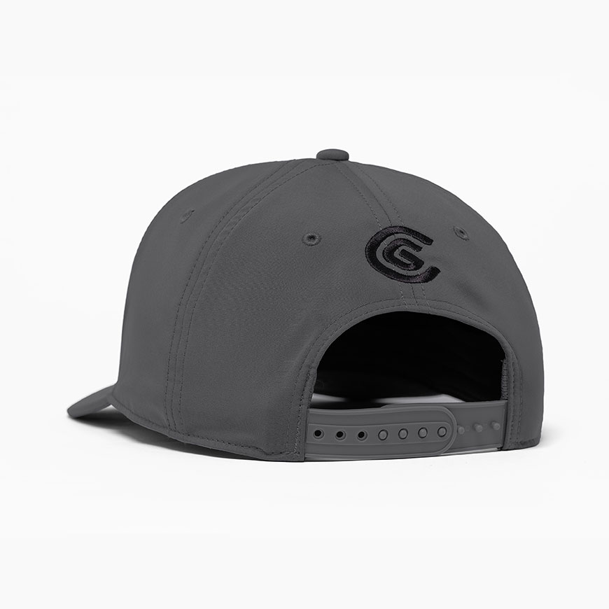 Chasing Birdies,Grey image number null