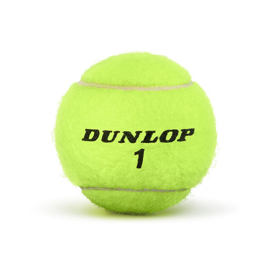 ATP Championship Tennis Balls