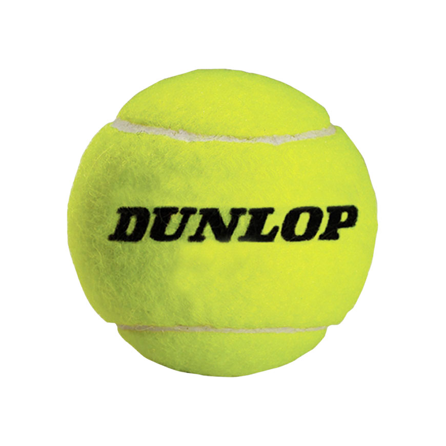 Oversized Autograph Tennis Balls,